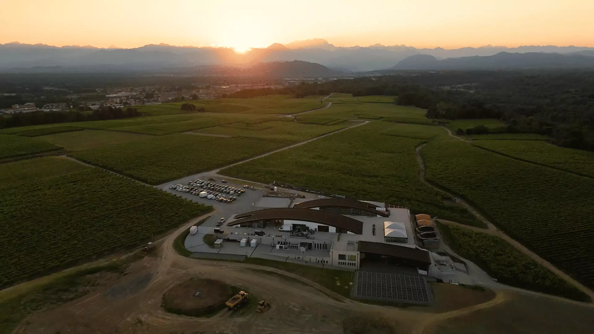 Immagine Degustazione 4 Vini con vista sui vigneti e Visita guidata della Cantina 13