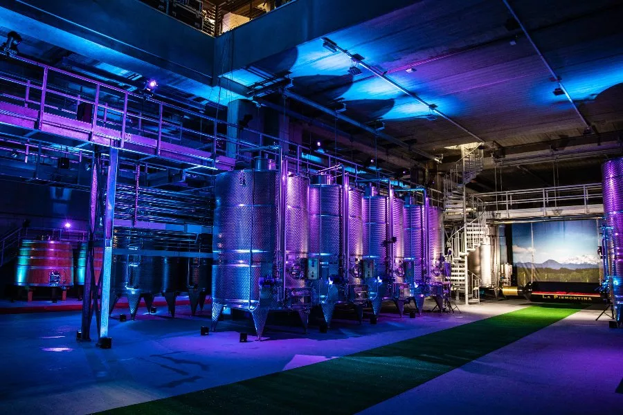 Immagine Degustazione 4 Vini con vista sui vigneti e Visita guidata della Cantina 17