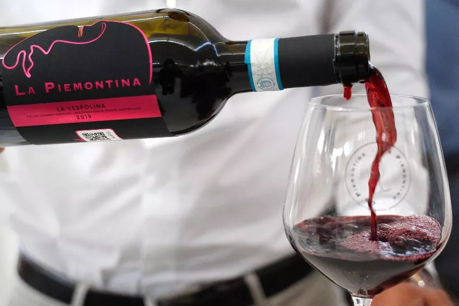 Immagine Degustazione 4 Vini con vista sui vigneti e Visita guidata della Cantina 21