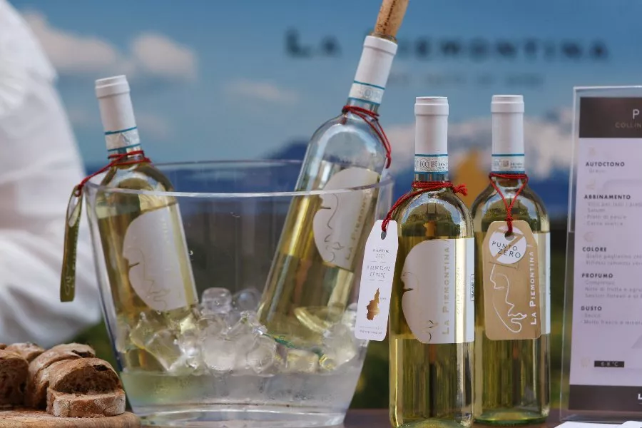 Immagine Degustazione 4 Vini con vista sui vigneti e Visita guidata della Cantina 22
