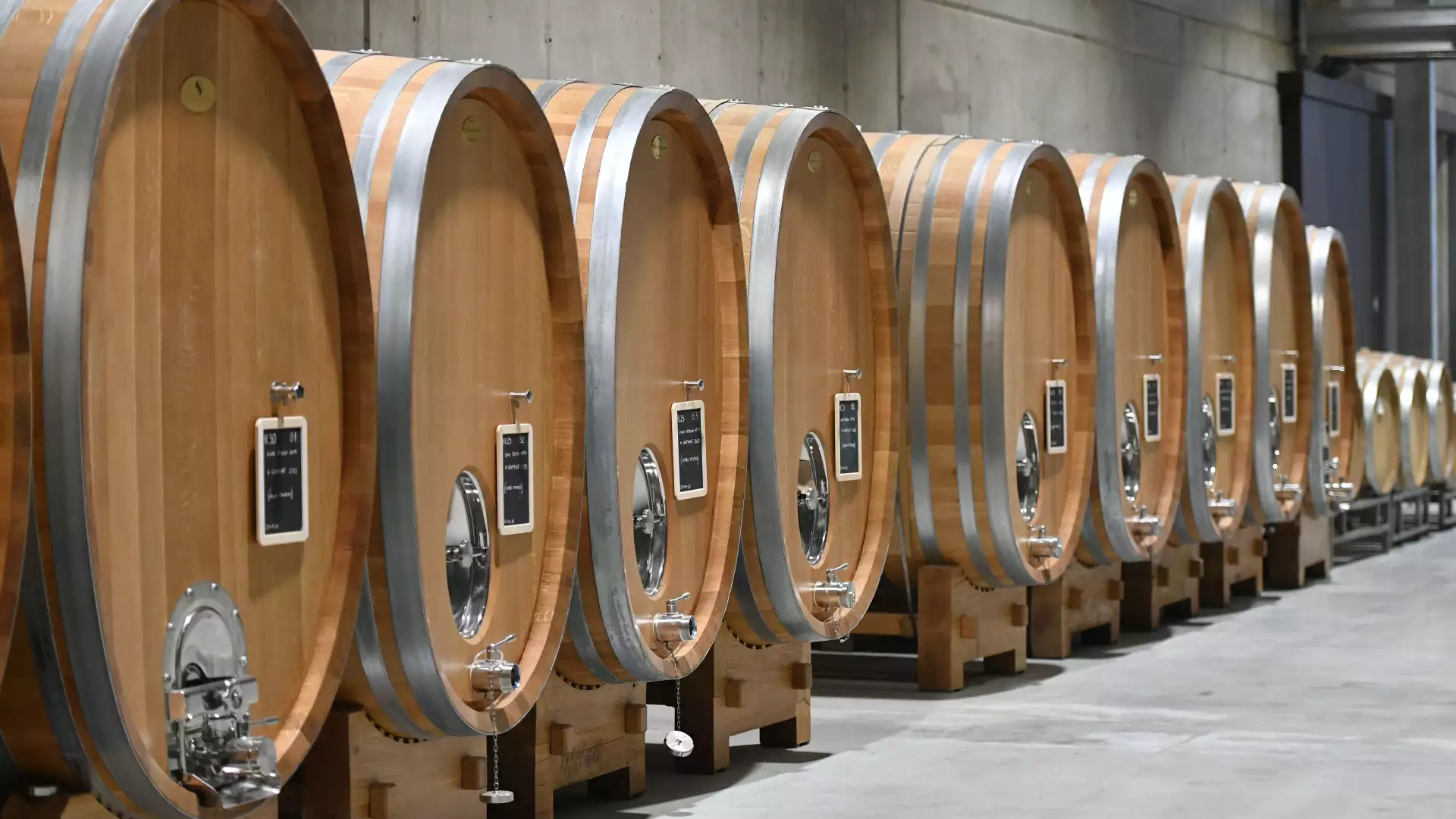Immagine Degustazione 4 Vini con vista sui vigneti e Visita guidata della Cantina 2