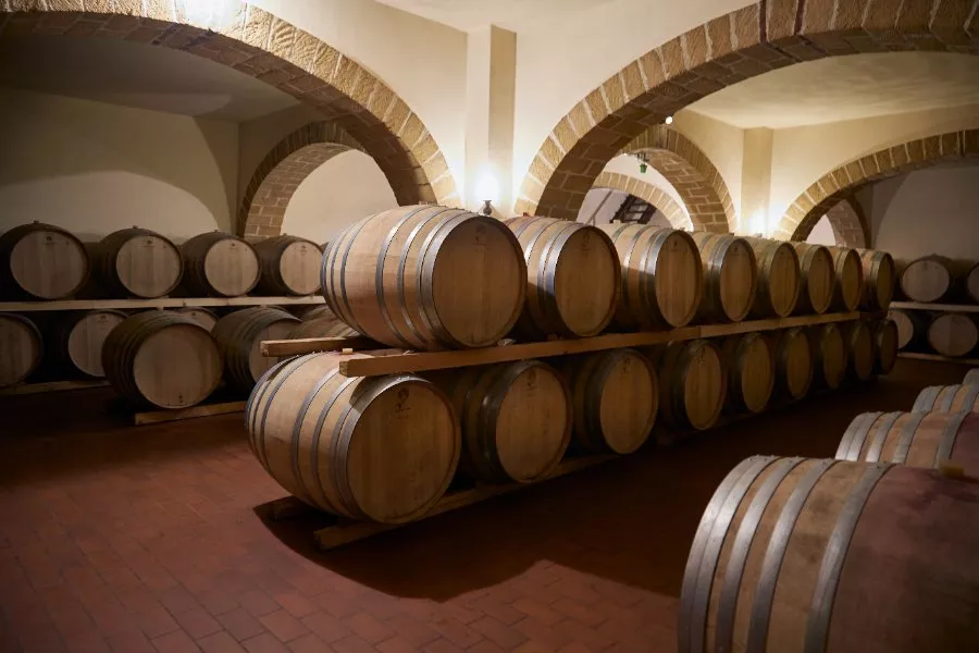 Immagine Alessandro di Camporeale Wine Tour 11 Immagine Alessandro di Camporeale Wine Tour 11