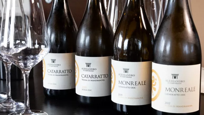 Immagine visita Indietro nel tempo - Degustazione verticale cantina Cantina Alessandro di Camporeale