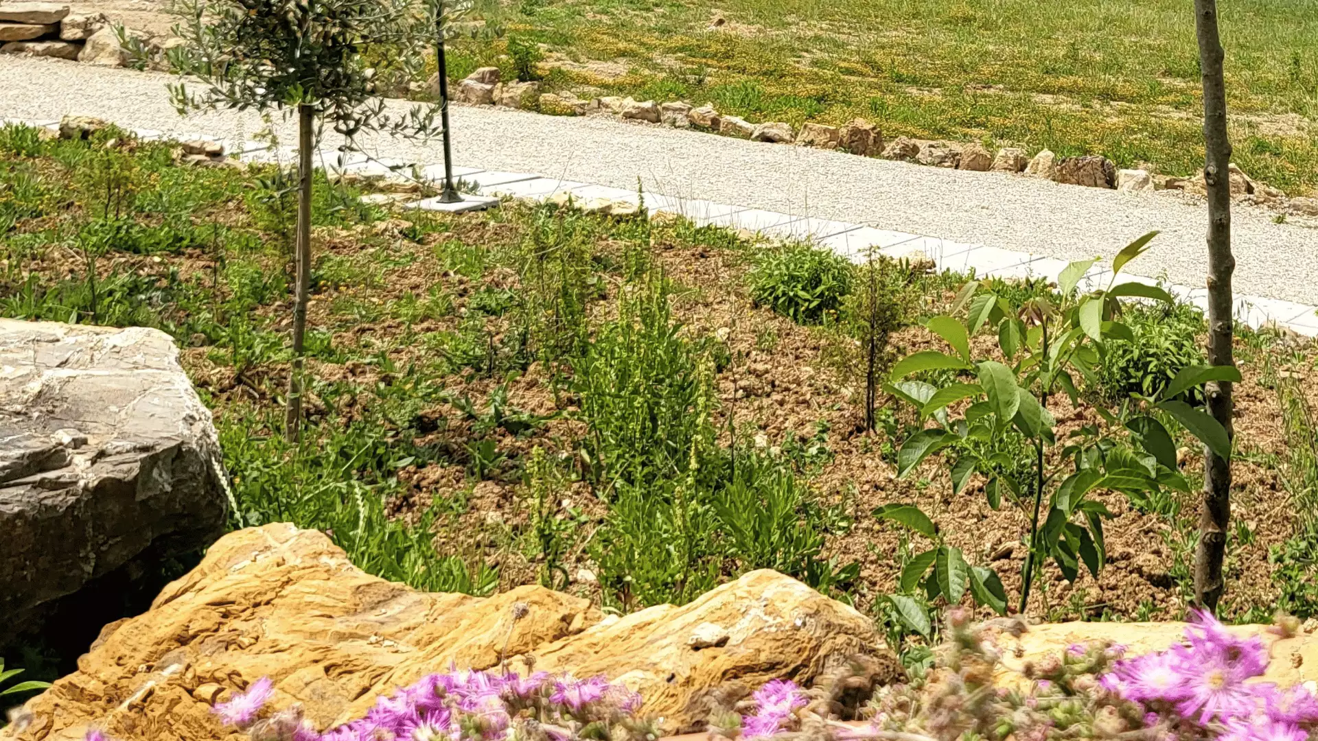 Immagine cantina borgunto chianti products