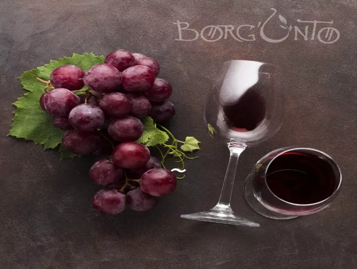 Immagine visita Esperienza di degustazione completa prodotti tipici toscani a km0 cantina Borgunto Chianti Products Immagine visita Esperienza di degustazione completa prodotti tipici toscani a km0 cantina Borgunto Chianti Products