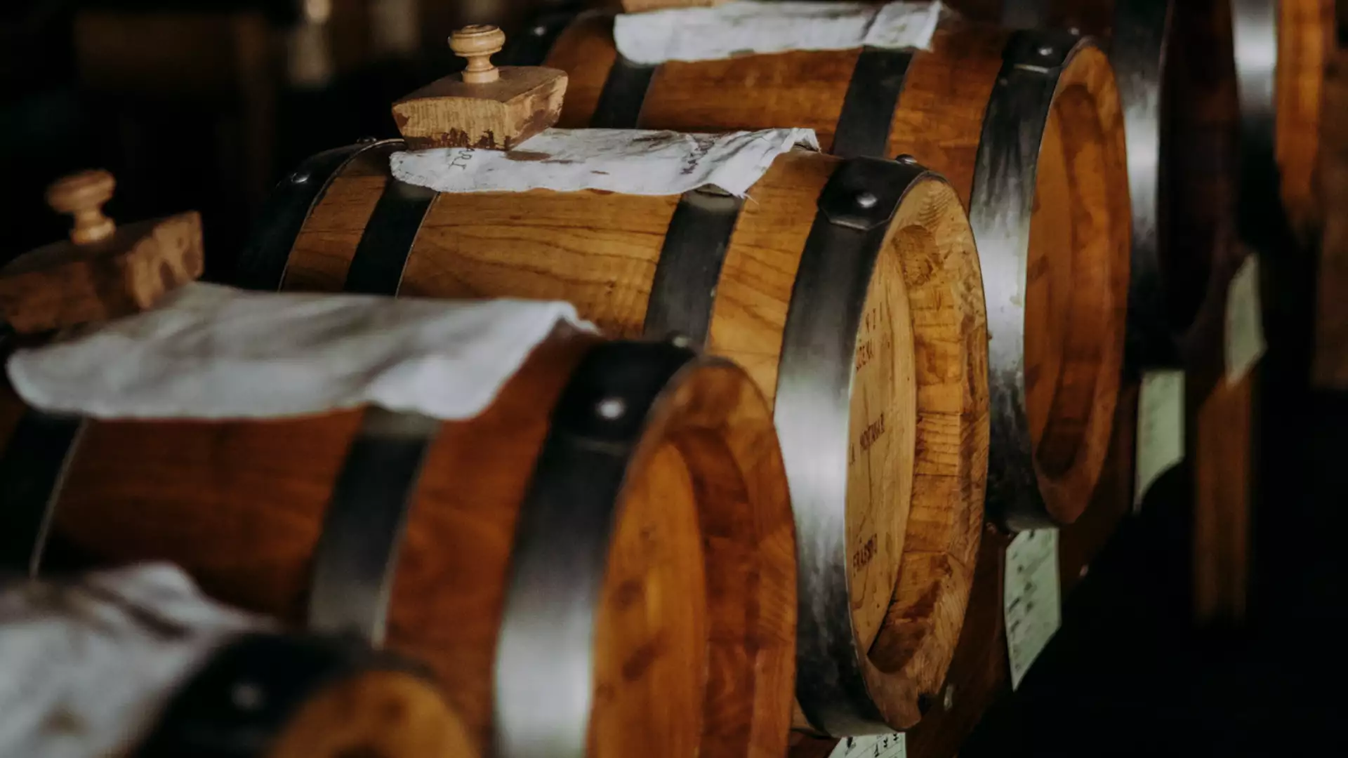 Immagine BALSAMICO EXPERIENCE 12 Immagine BALSAMICO EXPERIENCE 12