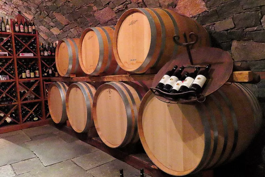 Immagine Degustazione in Vigna 4