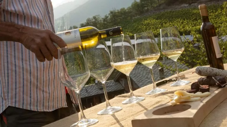 Immagine visita Degustazione in Vigna cantina Cantina La Vrille