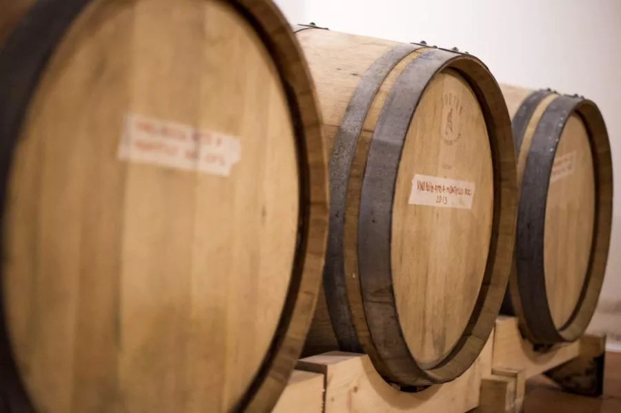 Immagine Degustazione "Alla Scoperta del Prosecco Salato" 4