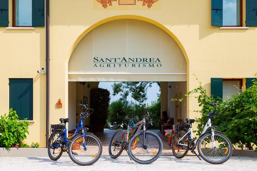 Immagine Degustazione "Alla Scoperta del Prosecco Salato" 6