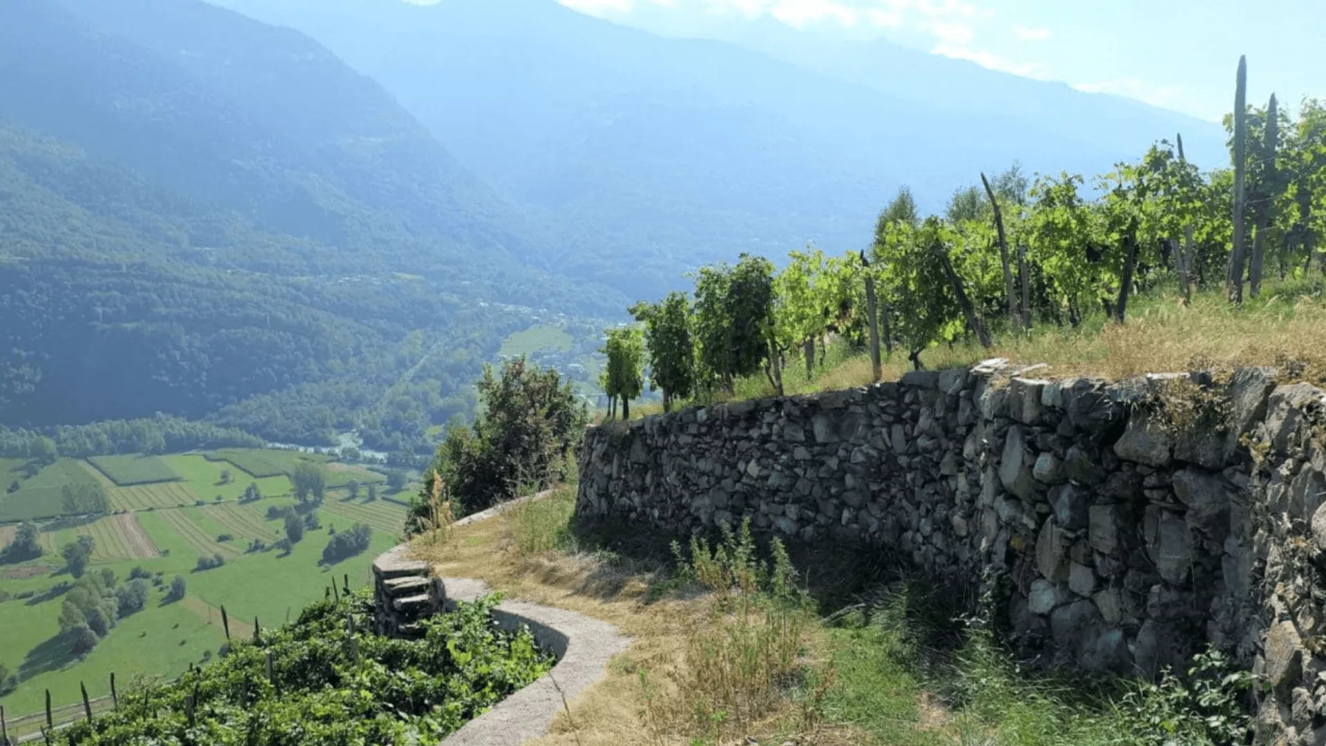 Immagine Tenuta Scerscé 1 Immagine Tenuta Scerscé 1