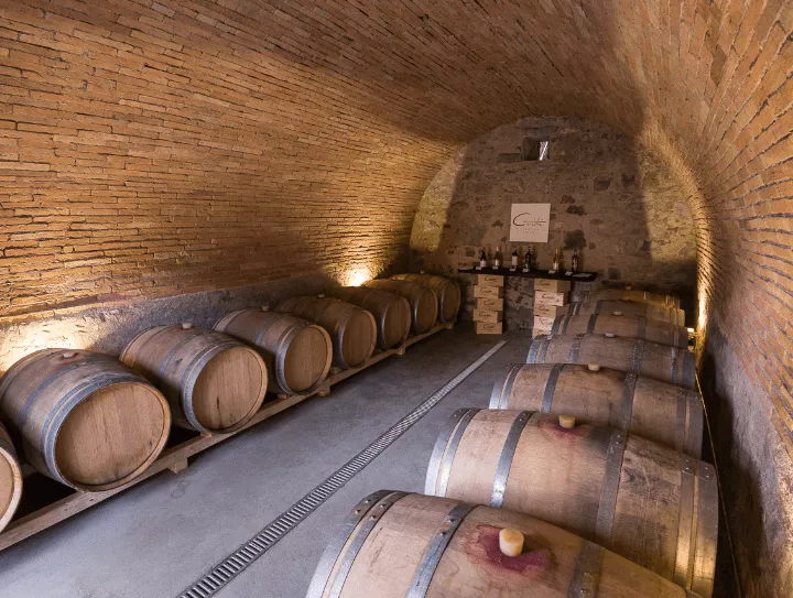 Immagine Cantine Guidi 2 Immagine Cantine Guidi 2