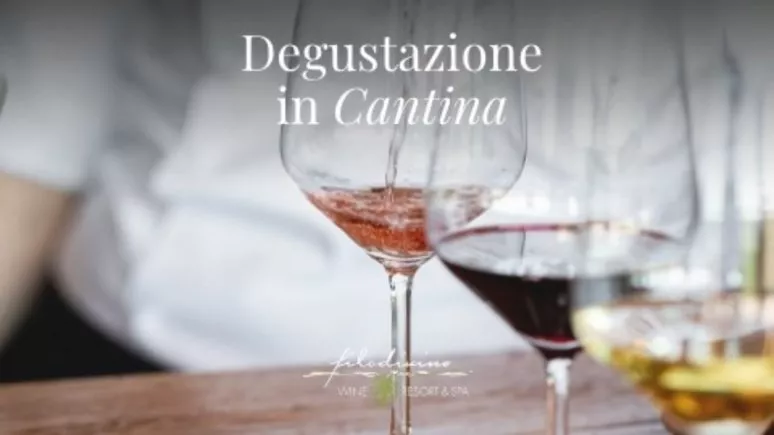 Immagine visita DALLA CANTINA AL FRANTOIO cantina Filodivino WINE RESORT & SPA