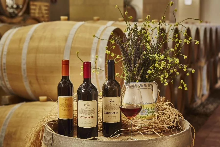Immagine Donna Franca All Wines 7 Immagine Donna Franca All Wines 7