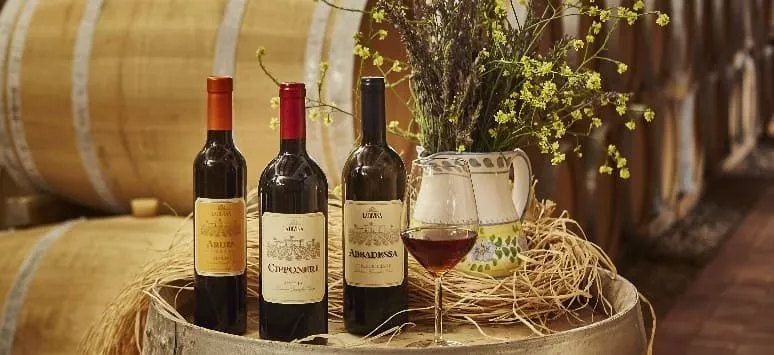 Immagine visita Degustazione Donna Franca Classic cantina Donna Franca