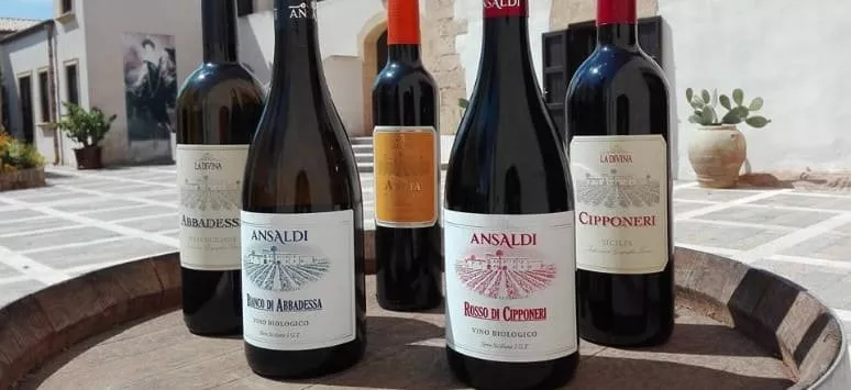 Immagine visita Degustazione Donna Franca Plus cantina Donna Franca