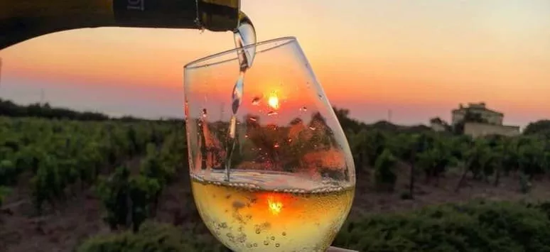 Immagine visita Degustazione Donna Franca Sunset cantina Donna Franca