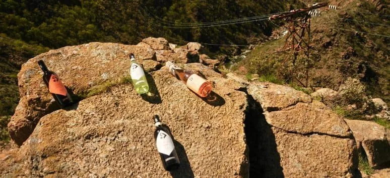 Immagine visita Piemontemare vip cantina Ghio Roberto - Vigneti Piemontemare