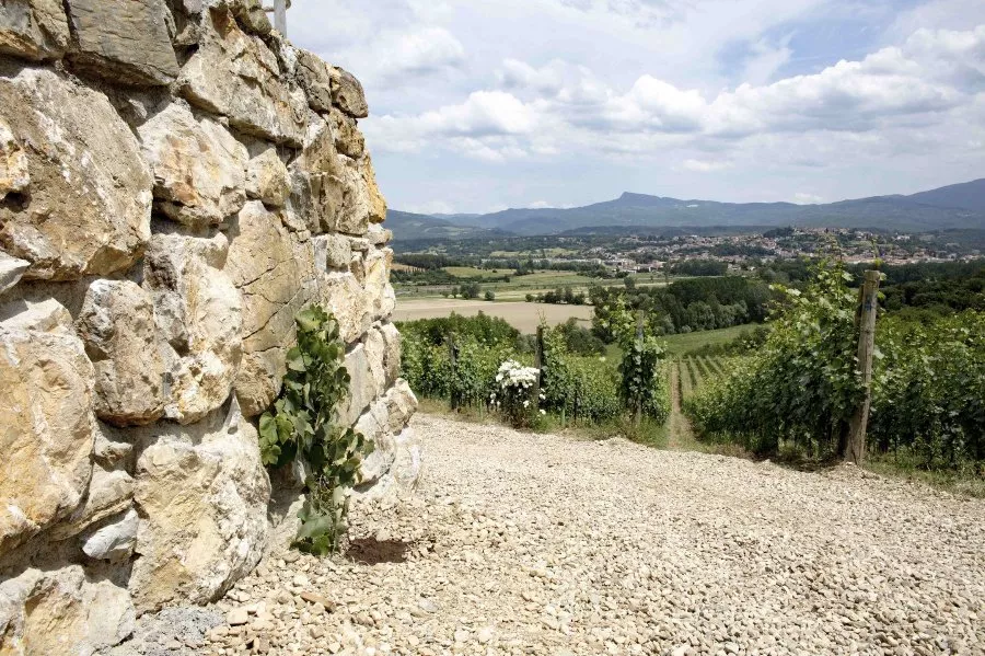 Immagine Cantina Fregnan 12 Immagine Cantina Fregnan 12
