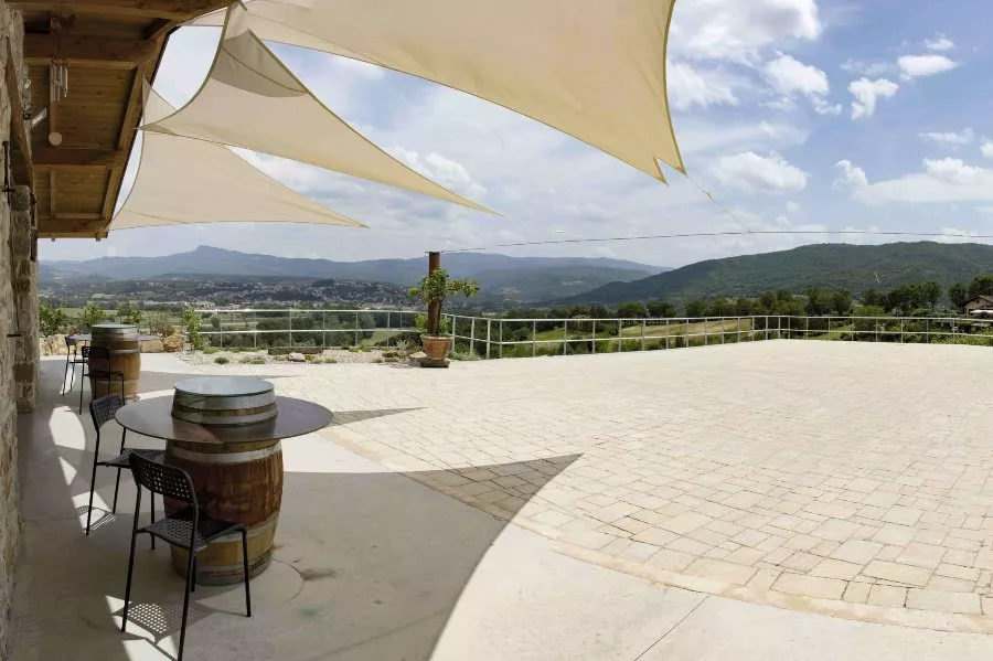 Immagine Cantina Fregnan 16 Immagine Cantina Fregnan 16