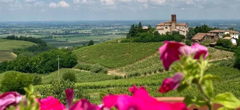 Immagine visita DEGUSTAZIONE PINOT Immagine visita DEGUSTAZIONE PINOT