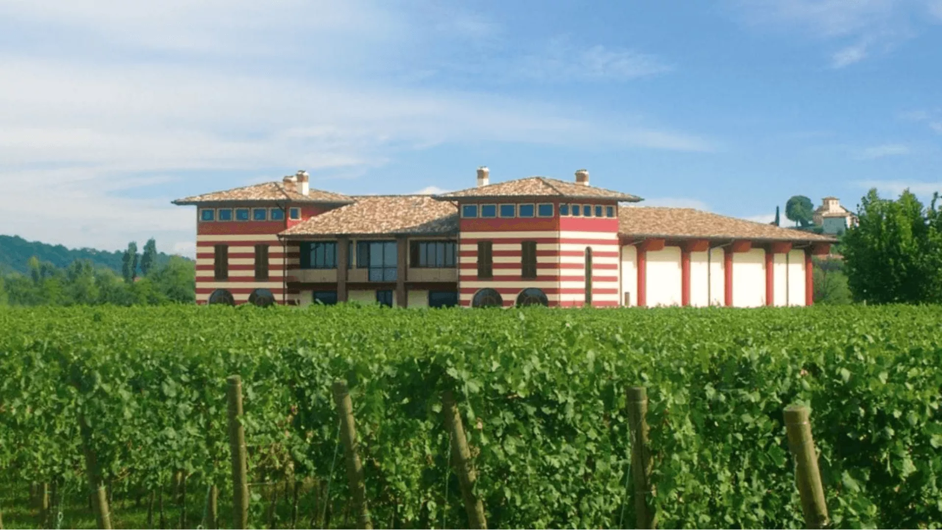 Immagine cantina Bosio Franciacorta