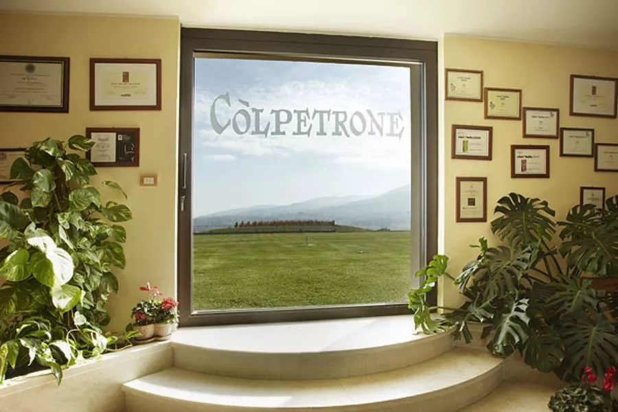 Immagine La storia di Còlpetrone in tutti i suoi vini 4