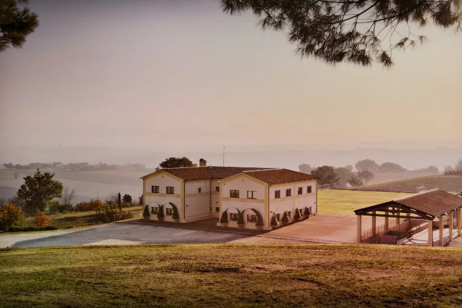 Immagine La storia di Còlpetrone in tutti i suoi vini 7 Immagine La storia di Còlpetrone in tutti i suoi vini 7
