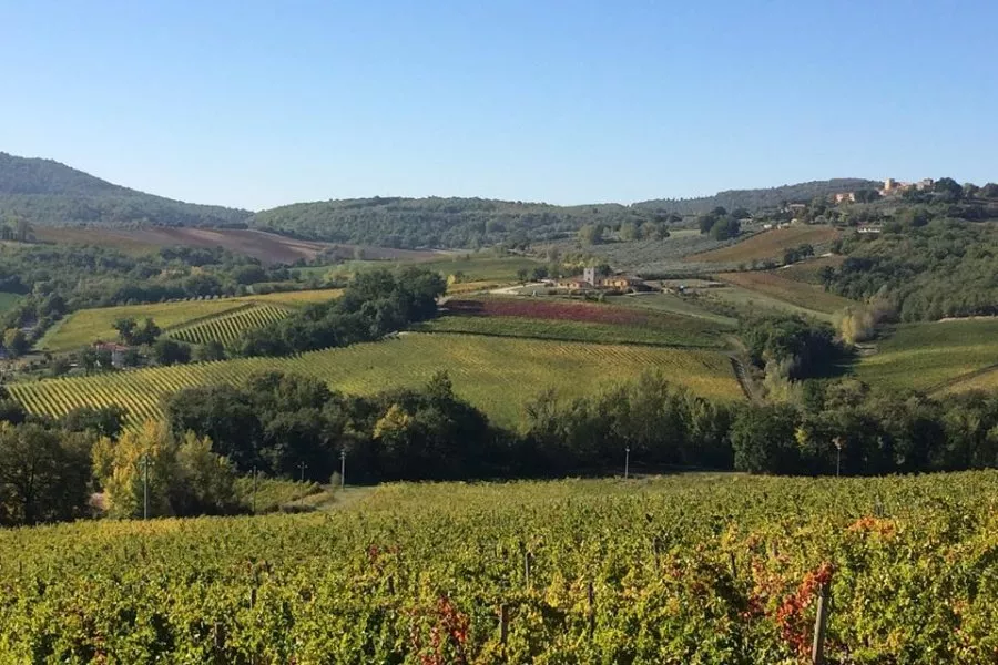Immagine La storia di Còlpetrone in tutti i suoi vini 8 Immagine La storia di Còlpetrone in tutti i suoi vini 8