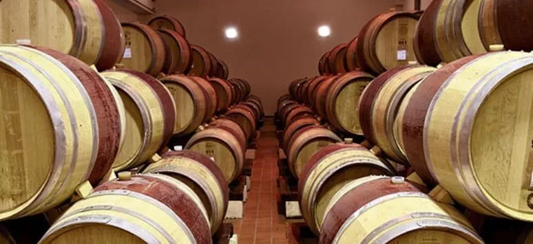 Immagine visita DIE WEINE VON CÒLPETRONE Immagine visita DIE WEINE VON CÒLPETRONE