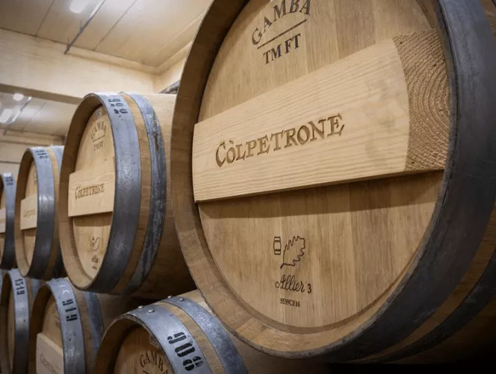 Immagine La storia di Còlpetrone in tutti i suoi vini 3