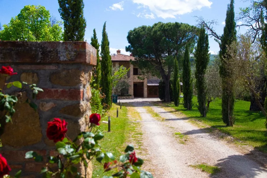 Immagine Terra Antica 18 Immagine Terra Antica 18