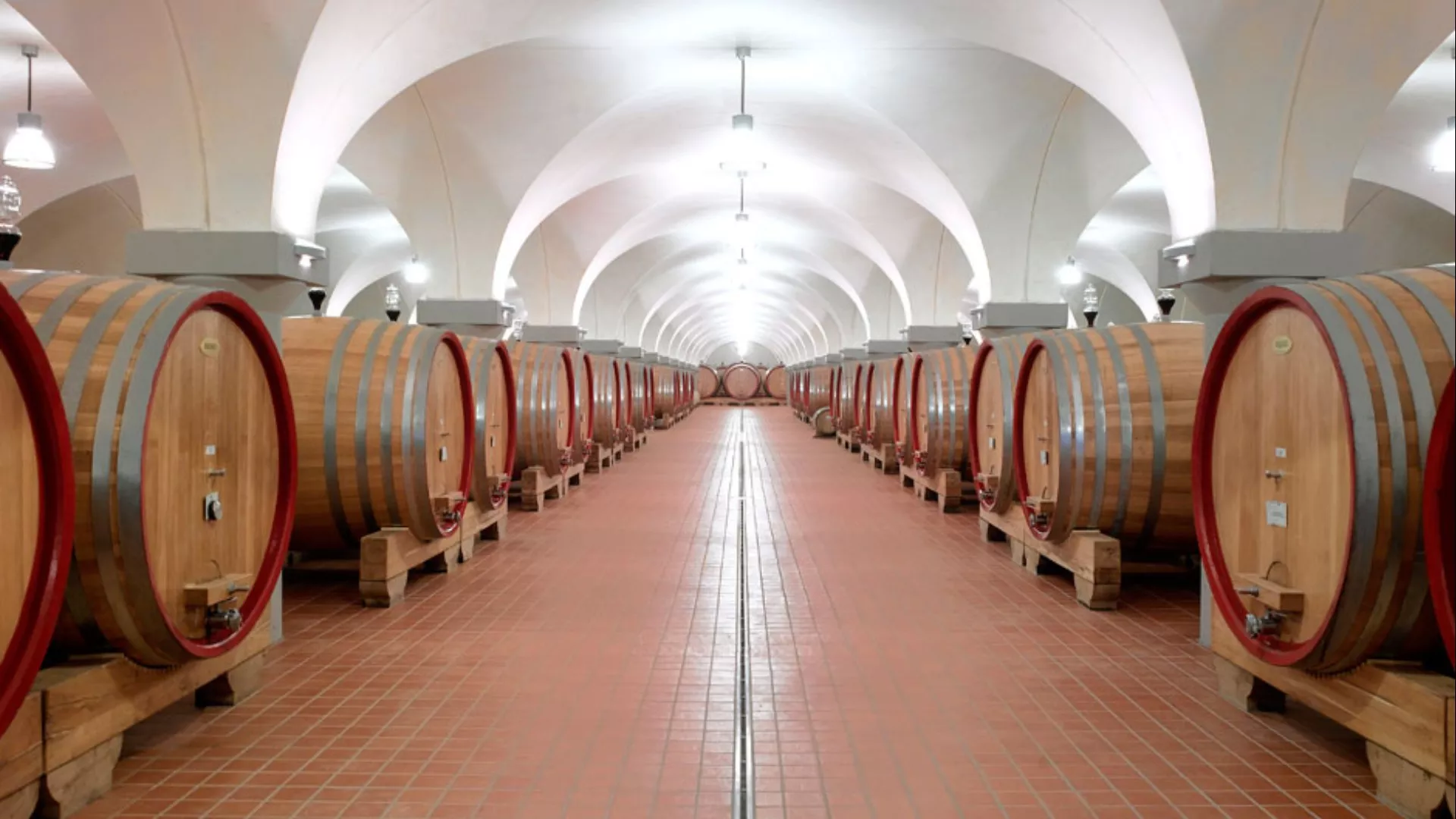 Immagine cantina Vecchia Cantina di Montepulciano