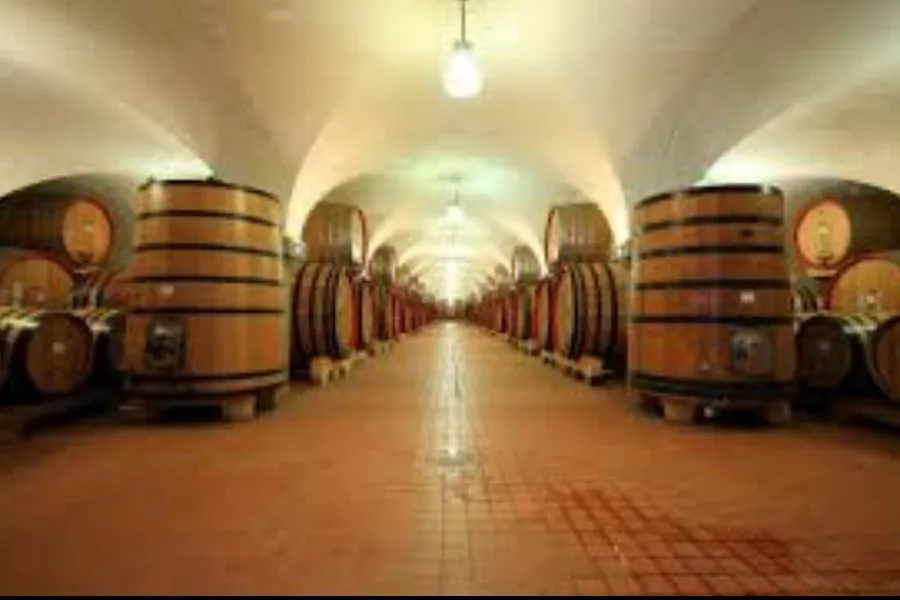 Immagine Vecchia Cantina di Montepulciano 3 Immagine Vecchia Cantina di Montepulciano 3