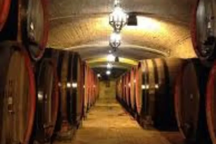Immagine Vecchia Cantina di Montepulciano 4