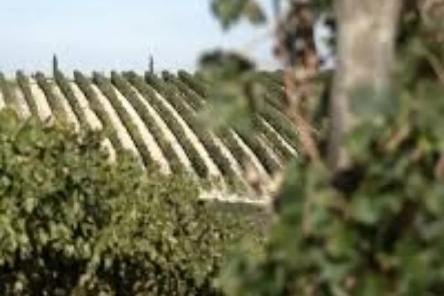 Immagine Vecchia Cantina di Montepulciano 5