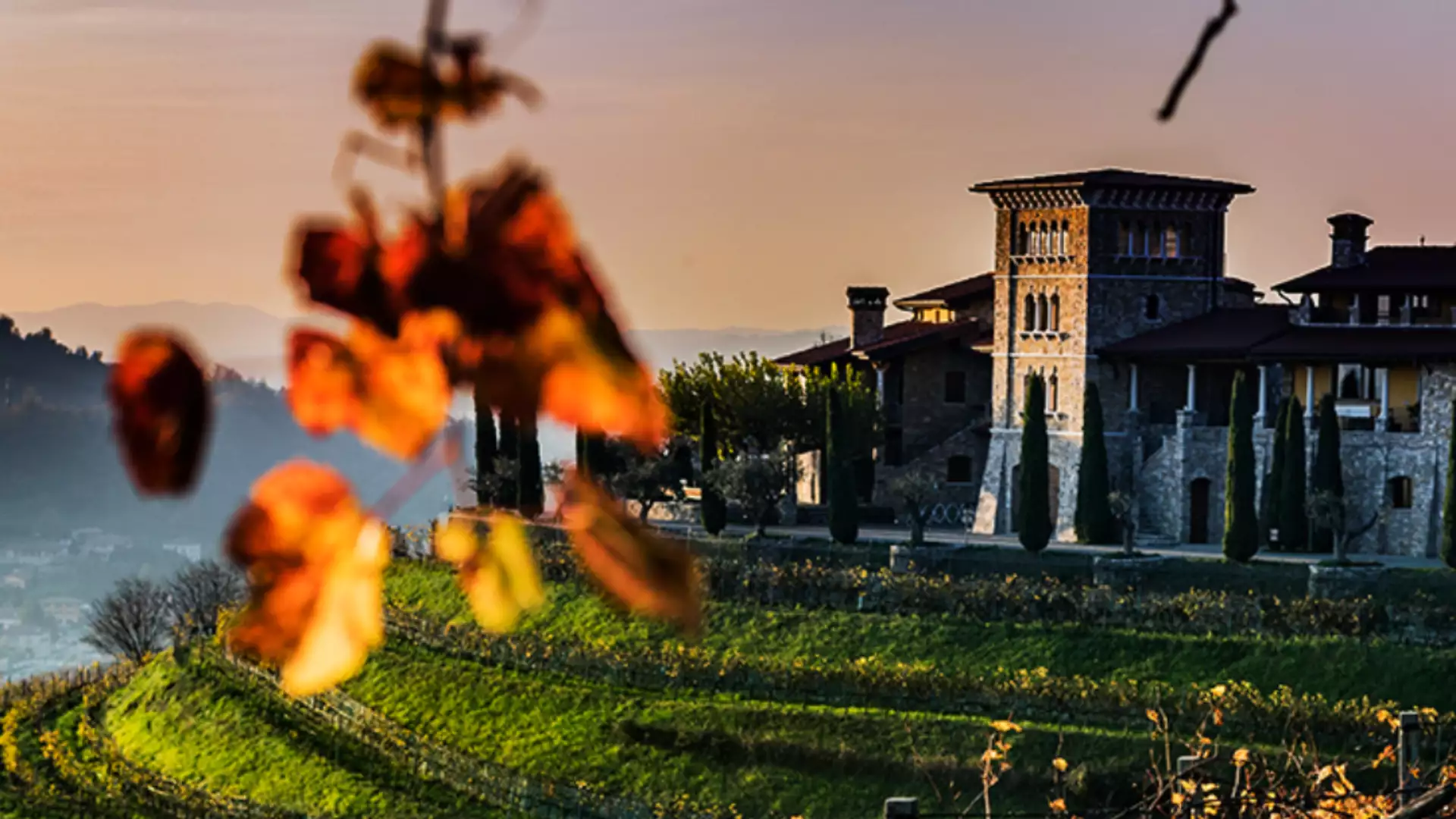 Immagine visita SAPORI D'AUTUNNO - 1/2 NOVEMBRE cantina Le Cantorie