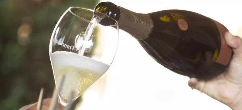 Immagine visita Essence Three Chalices cantina Le Cantorie