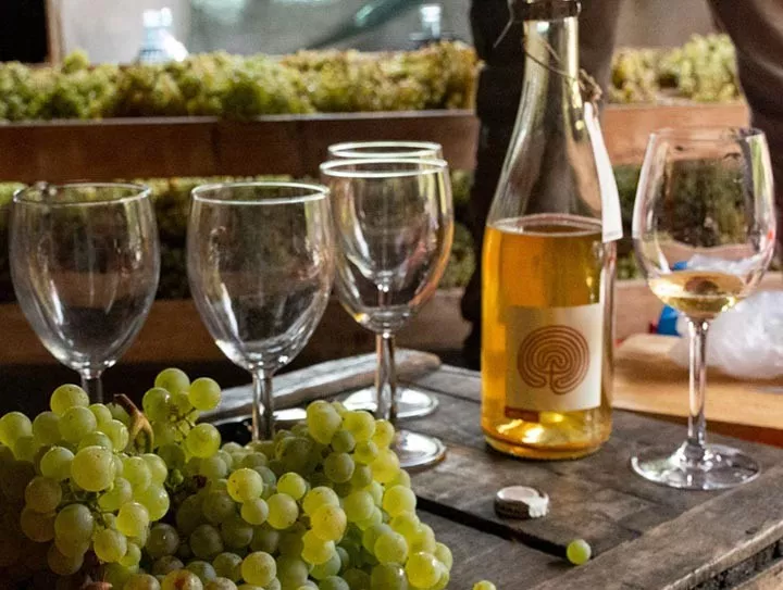 Immagine visita Soul of the Vine Immagine visita Soul of the Vine