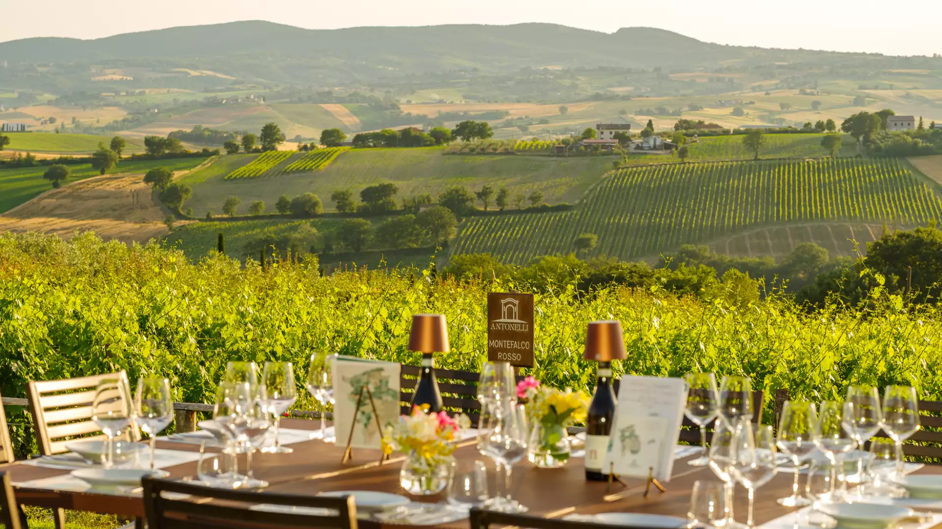 Immagine cantina Antonelli San Marco