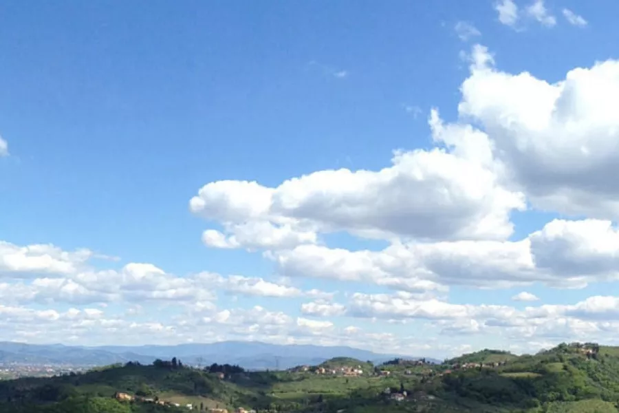 Immagine Cellar  wine tour 14