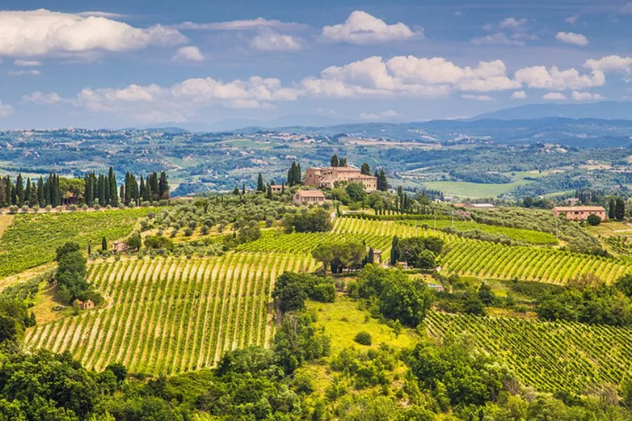 Immagine Cellar  wine tour 17