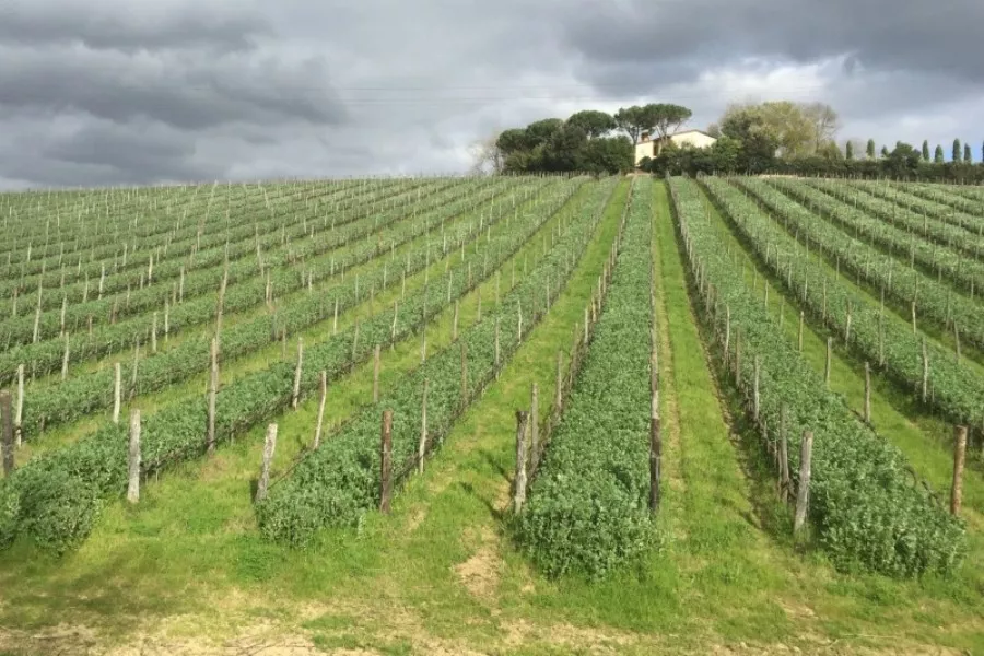 Immagine Cellar  wine tour 25