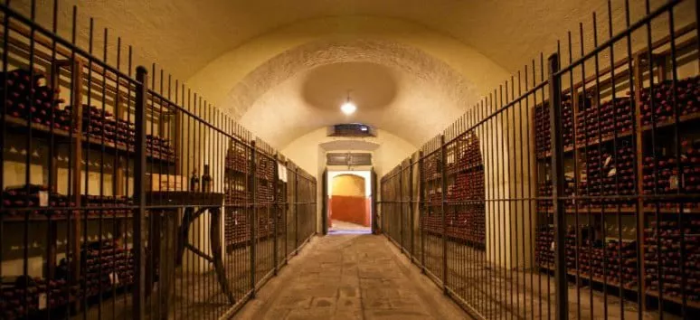 Immagine visita Wine tour experience cantina Tenuta di Capezzana Immagine visita Wine tour experience cantina Tenuta di Capezzana