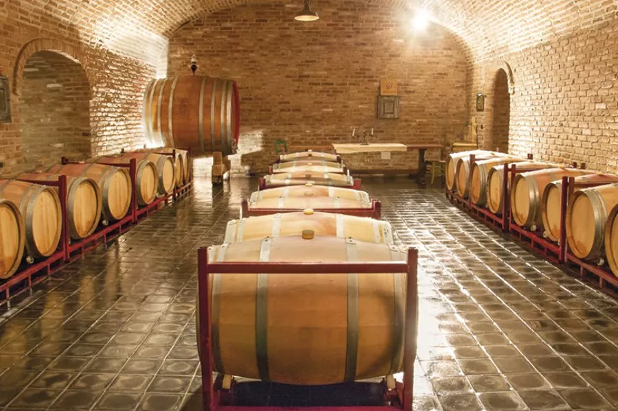 Immagine Degustazione estesa 5