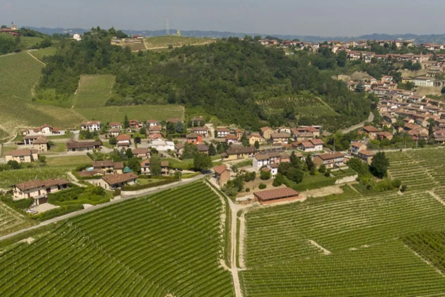 Immagine Degustazione estesa 6