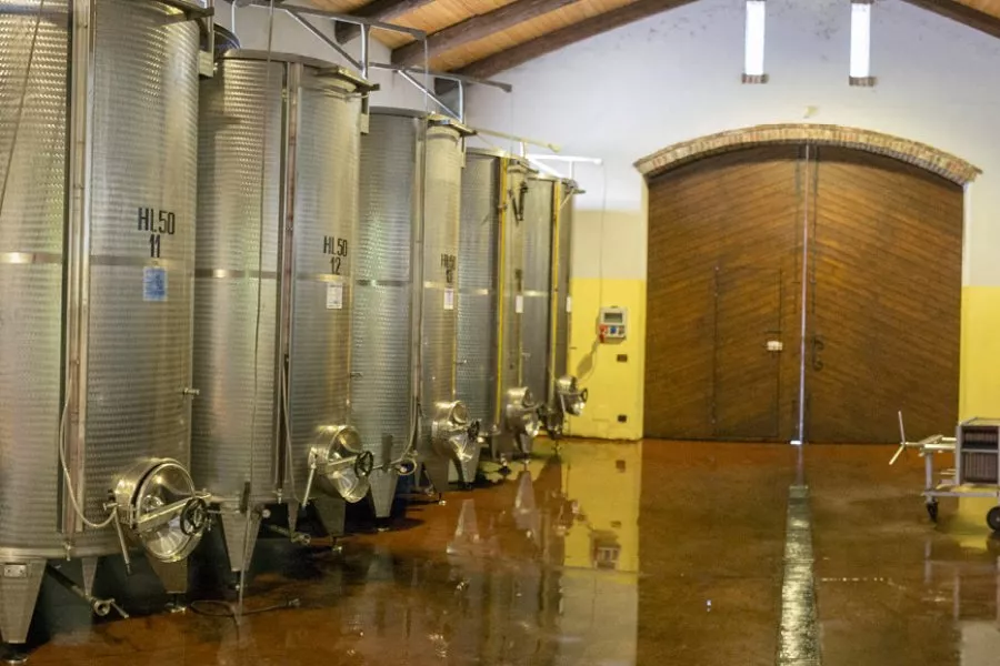 Immagine Degustazione estesa 7