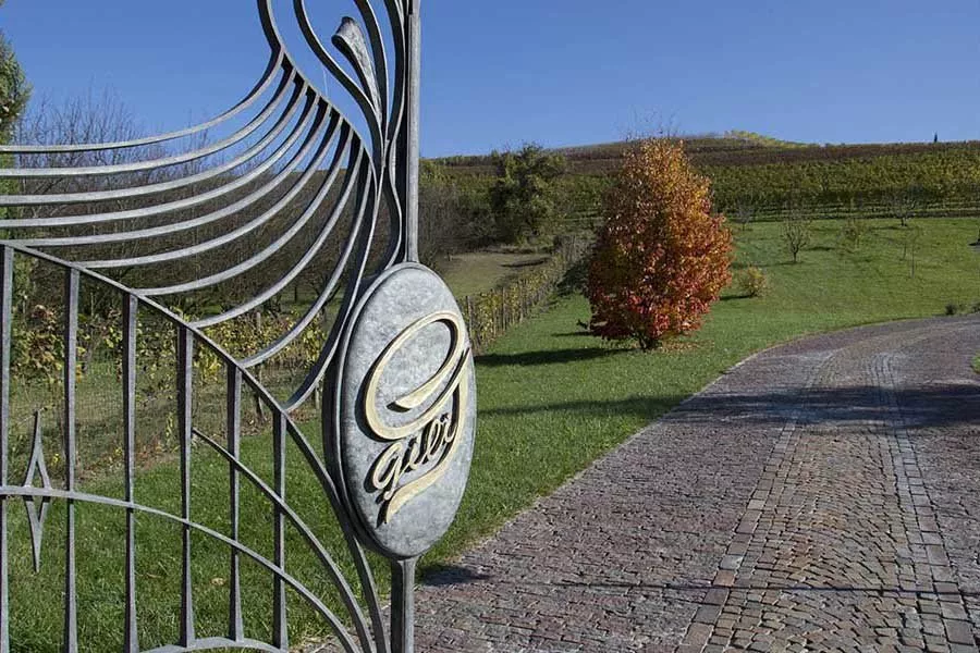 Immagine Degustazione estesa 9