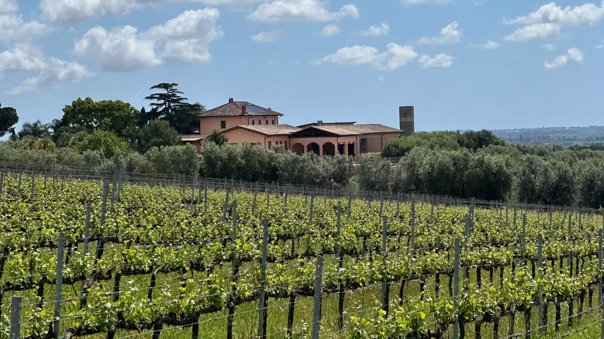 Immagine cantina La Luna Del Casale 