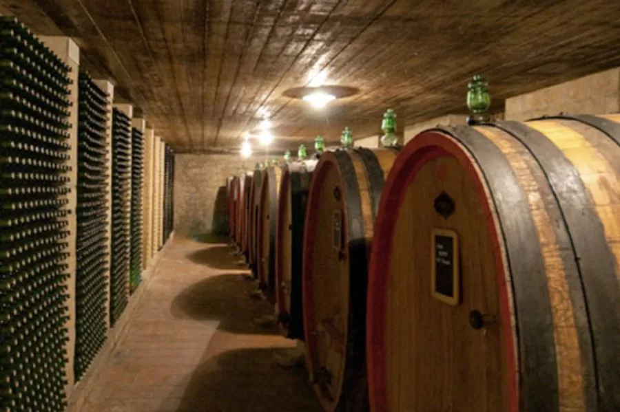 Immagine Visita con degustazione 8 Immagine Visita con degustazione 8